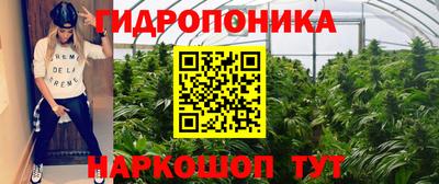 спиды Аша