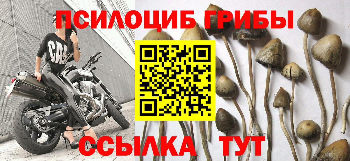Псилоцибиновые грибы Cubensis  Галлюциногенные грибы мухоморы  Барнаул  Вход с VPN 